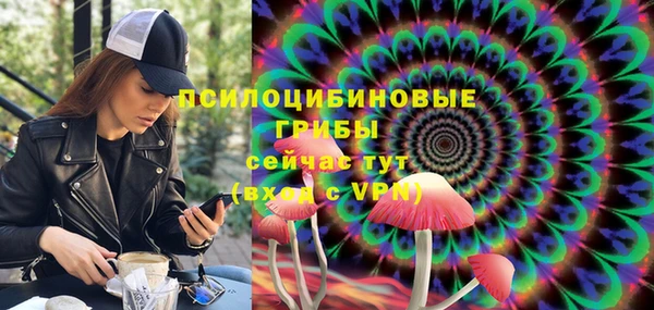 гидропоника Инсар