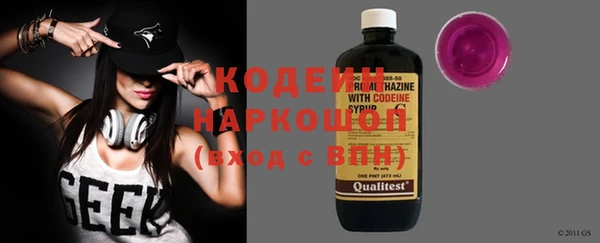apvp Инта