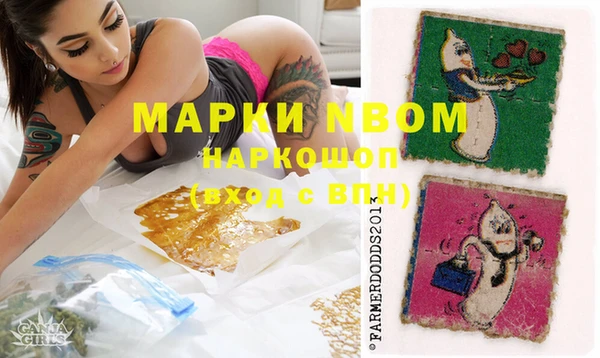 apvp Инта