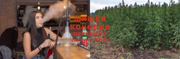 apvp Инта