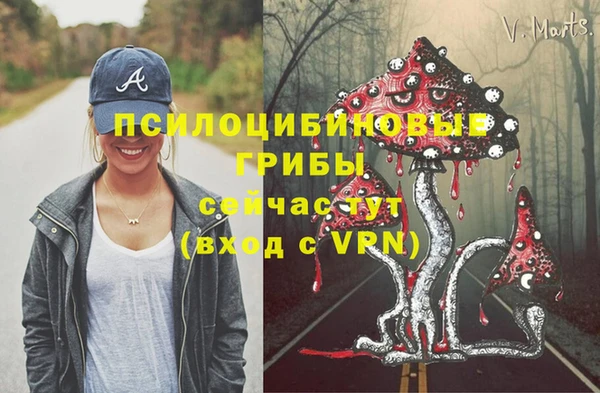 apvp Инта