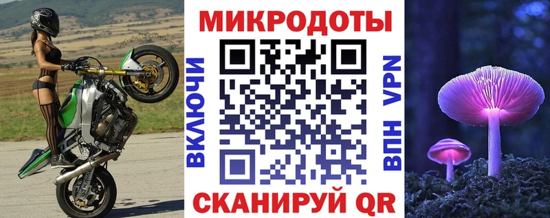 Купить где  Приморско-Ахтарск  Псилоцибиновые грибы Cubensis 